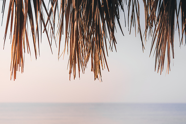 포토 JPG 해외이미지 배너 포스터 바다 여행 백그라운드 패턴 우산 자연 벽지 지붕 추상 휴가 휴식 건조 따뜻함 손바닥 사람없음 장식 빛 환경 공백 신용카드 발표 고급 불기 양산 심플 엽서 밀짚 기본 무인 이국적 파라다이스 파스텔톤 카피스페이스 해외202310 해외포토 손 컬러 컨셉 무늬 모션 금융 짚 편지 생태계 파일형식