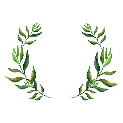 포토 JPG 해외이미지 클립아트 식물 디자인 꽃 꽃다발 결혼 잎 꽃무늬 패턴 일러스트 자연 벽지 추상 프레임 미술 사람없음 그래픽 장식 세트 화환 벚꽃 직물 신용카드 생일 인쇄 만화 스케치 수집 배열 그림 유기농 질감 엽서 손그림 고립 구성 엘리먼트 스타일 해외202310 해외일러스트 웰빙 기념일 무늬 문화예술 이벤트 금융 편지 생태계 파일형식