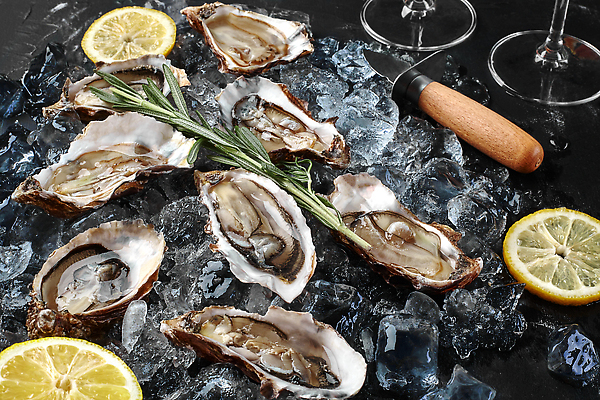 포토 JPG 해외이미지 물결 검은배경 사람없음 얼음 굴 신선 칼 레몬 슬라이스 로즈메리 해외202310 해외포토 자연요소 백그라운드 과일 어패류 검은색 허브 파일형식