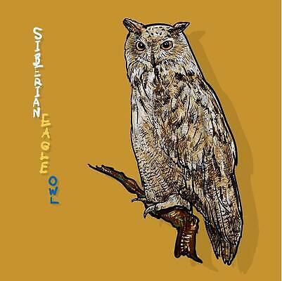 EPS 해외이미지 동물 응시 야생동물 일러스트 자연 조류 갈색 흰색 먹이 스케치 깃털 그림 부리 독수리 육식동물 부엉이 사냥꾼 시베리아 벡터 해외202310 해외일러스트 직업 시선 컬러 미술 생태계 파일형식