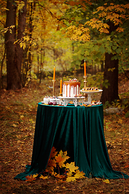 포토 JPG 해외이미지 나무 공원 꽃 종교 잎 크리스마스 겨울 건축양식 창문 자연 탁자 포도 휴가 디저트 주택 사람없음 장식 빨간색 초록색 노란색 교회 케이크 방 수확 도시 달콤 숲 컵케이크 벽난로 타운 무화과 옛날 해외202310 해외포토 식물 계절 공공시설 기념일 건축 음식 컬러 가구 농업 과일 종교건축 건물 맛 생태계 파일형식