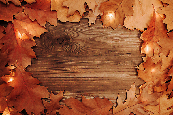 포토 JPG 해외이미지 계절 컬러 백그라운드 컨셉 잎 오렌지 자연 탁자 표면 사람없음 목재 장식 빨간색 갈색 노란색 우주 수확 시골 숲 질감 복고 내추럴 옛날 카피스페이스 비어있는 해외202310 해외포토 나무 식물 가구 농업 과일 재료 공백 생태계 파일형식