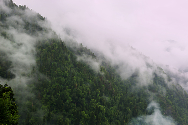 포토 JPG 해외이미지 구름 여행 백그라운드 자연 하늘 산 풍경 사람없음 초록색 트래킹 하이킹 안개 숲 언덕 뿌연 해외202310 해외포토 자연요소 컬러 레저 날씨 생태계 파일형식