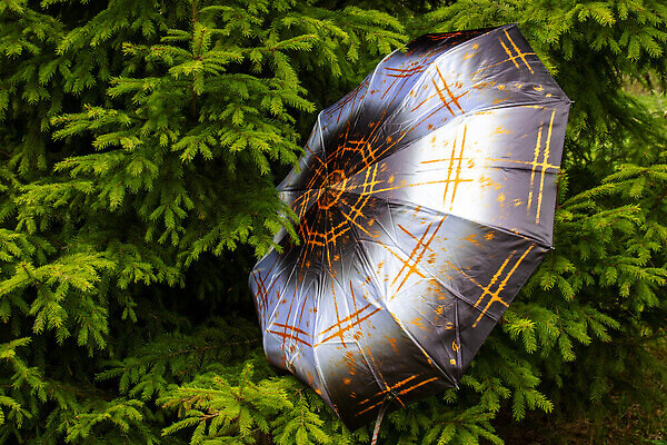 포토 JPG 해외이미지 나무 1 라이프스타일 공원 도로 여행 백그라운드 우산 자연 휴가 휴식 거리 사람없음 야외 초록색 여름 컬러풀 달리기 태양 여행객 평화 환경 페인트 트래킹 회색 가을 나뭇가지 도시 붓 소나무 바늘 팔레트 몸무게 숲 보안 예술가 원정 가문비나무 해외202310 해외포토 자연요소 식물 계절 공공시설 길 컬러 컨셉 교통시설 모션 레저 안전 사람 생활 도구 생태계 파일형식