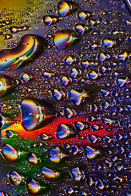 포토 JPG 해외이미지 무지개 사람없음 물방울 화려 질감 해외202310 해외포토 자연요소 컨셉 파일형식