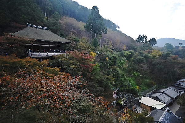 포토 JPG 해외이미지 나무 전통 계절 아시아 종교 문화 선 여행 잎 불교 건축양식 자연 동양인 풍경 사람없음 건물 목재 빨간색 컬러풀 뷰티 탑 정원 일본 중국 가을 사찰 역사 재산 숲 심볼 장면 동쪽 랜드마크 사당 해외202310 해외포토 식물 건축물 건축 나라 컬러 재료 종교건축 인종 금융 방향 생태계 파일형식