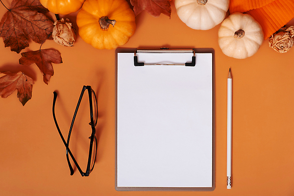 포토 JPG 해외이미지 식물 손 음식 백그라운드 오렌지 재료 자연 호박 추상 휴가 흑백 건강 사람없음 야외 장식 컬러풀 공백 할로윈 수확 가을 신선 잡기 작음 9월 11월 스웨터 먹기 날것 추수감사절 10월 내추럴 숙성 플랫레이 미니멀 해외202310 해외포토 계절 기독교 컬러 상의 무늬 농업 채소 과일 모션 촬영기법 신체부위 날짜 플랫 크기 생태계 파일형식