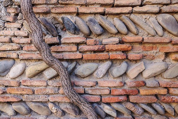 포토 JPG 해외이미지 나무 디자인 배너 포스터 도로 벽 백그라운드 패턴 자연 벽지 포도 추상 바닥 주택 사람없음 장식 갈색 맑음 회색 수확 광선 조약돌 거친 파편 작음 천 질감 시멘트 나누기 내추럴 찌그러짐 땅바닥 옛날 콘크리트 화강암 카피스페이스 해외202310 해외포토 식물 길 컬러 컨셉 무늬 농업 과일 교통시설 날씨 건물 공백 암석 돌_바위 직물 크기 생태계 파일형식