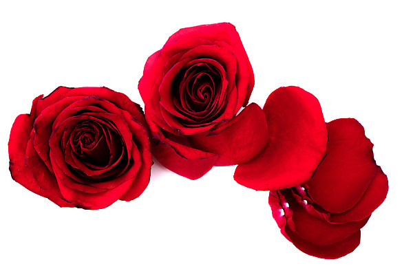 포토 JPG 해외이미지 사람없음 해외202310 해외포토 파일형식