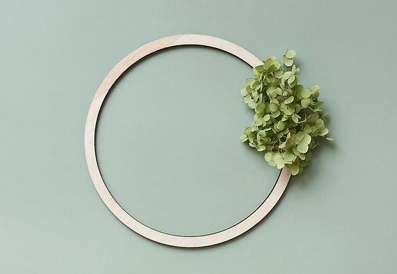 포토 JPG 해외이미지 나무 식물 템플릿 계절 열매 컬러 백그라운드 컨셉 잎 꽃무늬 오렌지 자연 프레임 사람없음 장식 빨간색 초록색 컬러풀 신선 신용카드 9월 다발 유기농 레이아웃 수국 추수감사절 내추럴 구성 숙성 정물화 카피스페이스 국경 해외202310 해외포토 웰빙 꽃 기독교 무늬 과일 금융 공백 날짜 그림 생태계 파일형식