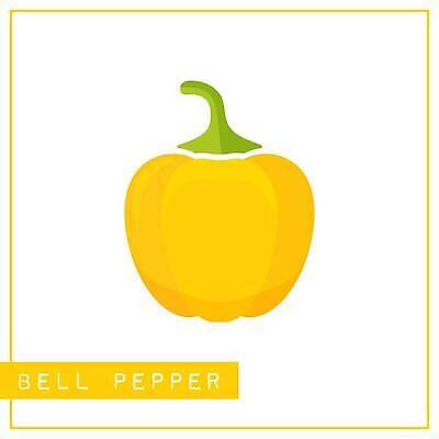 EPS 해외이미지 식물 교육 어린이 음식 농업 다이어트 채소 일러스트 학교 자연 놀이 파프리카 건강 그래픽 농장 노란색 정원 유치원 수확 게임 흰색 신선 신용카드 가르침 시장 플랫 수집 그림 에코 유기농 윤곽 후추 비타민 고립 밭일 숙성 채식주의자 벡터 비건 해외202310 해외일러스트 웰빙 산업 컬러 사람 금융 환경 향신료 생태계 채식 영양소 파일형식