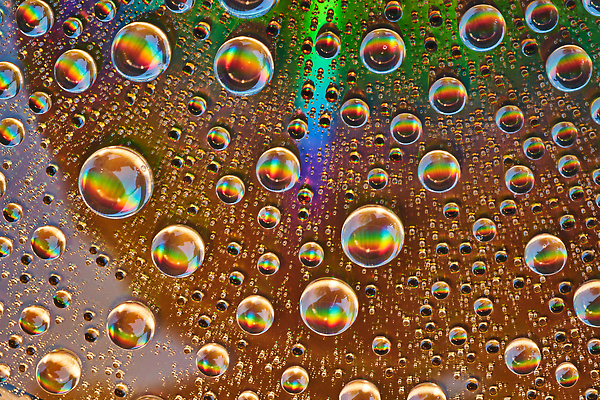 포토 JPG 해외이미지 무지개 사람없음 물방울 화려 질감 해외202310 해외포토 자연요소 컨셉 파일형식