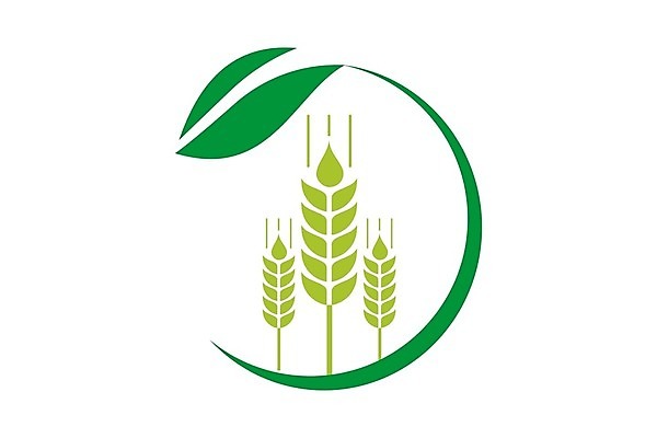 EPS 해외이미지 식물 음식 빵 백그라운드 밭 농업 일러스트 자연 밥 건강 옥수수 씨앗 농작물 농장 라벨 수확 황금 낟알 시리얼 밀 유기농 보리 귀 내추럴 호밀 귀리 해외202004 해외일러스트 웰빙 산업 곡류 프레임 신체부위 생태계 파일형식 벡터 사람