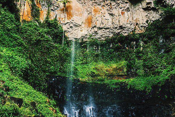 포토 JPG 해외이미지 공원 잎 자연 풍경 사람없음 야외 물 강 폭포 젖음 바위 개울 호주 숲 열대우림 내추럴 해외202004 해외포토 자연요소 식물 공공시설 돌_바위 오세아니아 생태계 파일형식