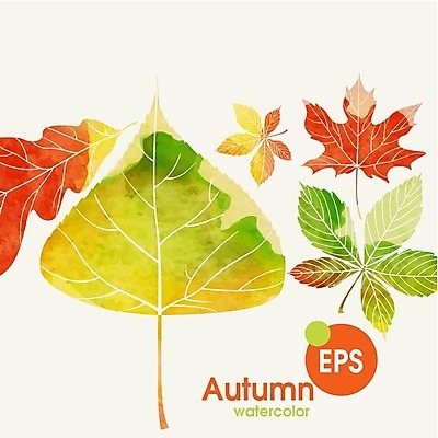 EPS 해외이미지 식물 백그라운드 단풍 잎 일러스트 자연 수채화 사람없음 빨간색 초록색 노란색 가을 밤 해외202004 해외일러스트 계절 컬러 견과류 생태계 파일형식 벡터