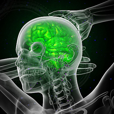 포토 JPG 해외이미지 사람 사람없음 머리 뇌 해외202004 해외포토 신체부위 파일형식