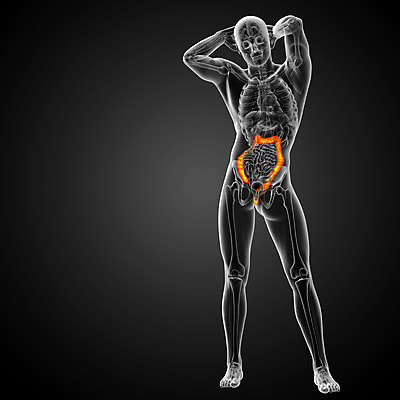 포토 JPG 해외이미지 해부 건강 사람 사람없음 3D 질병 생물학 간 해외202004 해외포토 교육 의학 장기_의학 디지털합성 파일형식