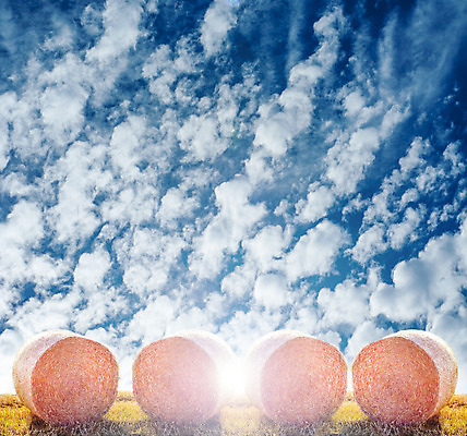 포토 JPG 해외이미지 식물 구름 계절 음식 백그라운드 밭 농업 자연 하늘 건조 옥수수 풍경 초원 사람없음 야외 여름 파란색 농작물 태양 농장 농경지 노란색 쌓기 수확 가을 시골 원형 황금 볏짚 먹이 낟알 땅 자르기 밀 보리 롤 패키지 뭉치 밀짚 내추럴 밭일 호밀 해외202004 해외포토 자연요소 도형 산업 컬러 모션 곡류 짚 생태계 파일형식