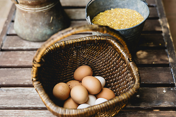 포토 JPG 해외이미지 음식 건강 사람없음 갈색 계란 신선 상품 양동이 유기농 날것 내추럴 해외202004 해외포토 웰빙 컬러 알 파일형식