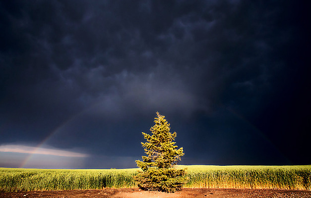 포토 JPG 해외이미지 구름 캐나다 자연 하늘 날씨 풍경 사람없음 여름 어둠 위험 장면 폭풍 내추럴 뇌우 폭풍우 해외202004 해외포토 자연요소 계절 컨셉 북아메리카 비_날씨 자연재해 생태계 파일형식
