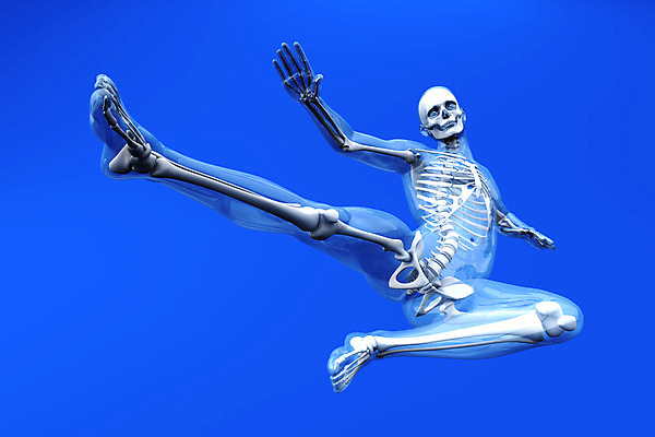 포토 JPG 해외이미지 교육 남자 스포츠 과학 이동 신체 일러스트 해부 근육 뼈 골격 엑스레이 사람 사람없음 그래픽 약 머리 3D 디지털 점프 힘 시험 기둥 공격 엉덩이 생물학 싸움 근육질 만들기 위치 몸통 팔 전사 공격적 돌봄 양발 정형외과 해골모형 해외202004 해외포토 건축 컨셉 의학 모션 병원 신체부위 모형 몸매 디지털합성 파일형식