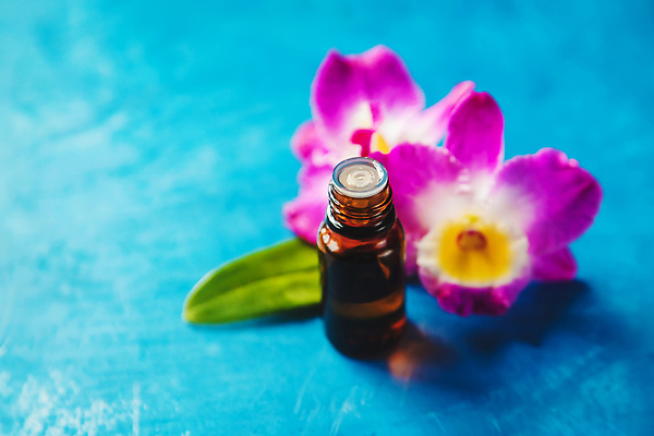 포토 JPG 해외이미지 배너 꽃 백그라운드 자연 유리병 건조 가면 사람없음 물 스파 화장품 수확 투명 난초 작음 수집 허브 질감 복고 기념품 로션 라벤더 내추럴 추출 해외202310 해외포토 자연요소 식물 농업 병_용기 뷰티 크기 오브젝트 생태계 파일형식