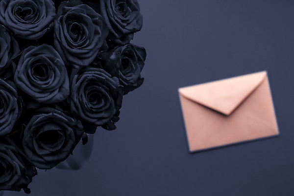 포토 JPG 해외이미지 꽃다발 백그라운드 편지봉투 발렌타인데이 사람없음 장미 남색 러브레터 해외포토 꽃 컬러 데이이벤트 봉투 편지 파일형식