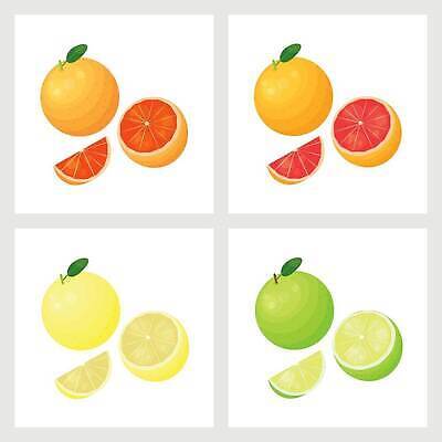 EPS 해외이미지 음식 줄기 분홍색 조각 백그라운드 십자가 잎 오렌지 과일 일러스트 부분 귤 실내 건강 종류 빨간색 초록색 세트 노란색 흰색 신선 달콤 만화 심볼 싱글 유기농 광택 타입 잡종 고립 루비 이국적 벡터 해외202310 해외일러스트 식물 웰빙 컬러 내부 맛 보석 파일형식