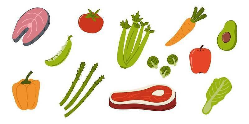 EPS 해외이미지 음식 다이어트 토마토 채소 일러스트 호박 가지 양파 오이 치즈 건강 마늘 육류 어류 세트 식사 버섯 당근 에너지 흰색 신선 그룹 플랫 사과 브로콜리 낟알 만화 시리얼 수집 아스파라거스 섬유 비타민 우표 아보카도 고립 단백질 복잡 비트 채식주의자 탄수화물 벡터 비건 해외202310 해외일러스트 컬러 컨셉 과일 식재료 유제품 뿌리채소 수중동물 직물 채식 영양소 파일형식