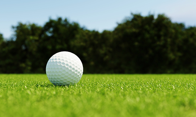 포토 JPG 해외이미지 나무 라이프스타일 스포츠 백그라운드 밭 골프 공 자연 놀이 골프공 풍경 잔디 취미 사람없음 야외 초록색 여름 운동 3D 우주 경쟁 장비 운전 게임 흰색 구멍 운전사 골퍼 닫기 강의 오브젝트 그네 클럽 슛 골프티 넣기 땅바닥 타격 페어웨이 카피스페이스 해외202310 해외포토 식물 직업 계절 컬러 컨셉 농업 모션 운동선수 골프용품 바닥 건강 생활 구기 공백 디지털합성 생태계 파일형식