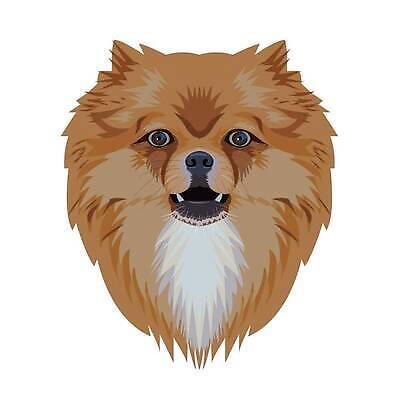 EPS 해외이미지 동물 캐릭터 얼굴 일러스트 포유류 털 미술 그래픽 반려동물 뷰티 머리 흰색 개 강아지 만화 그림 송곳니 고립 기르기 포메라니안 벡터 순혈 해외202310 해외일러스트 일러캐릭터 컬러 문화예술 신체부위 치아 돌봄 파일형식