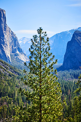 포토 JPG 해외이미지 나무 구름 공원 호수 여행 자연 하늘 산 국립공원 풍경 사람없음 야외 초록색 계곡 절벽 하이킹 회색 바위 황무지 숲 빙하 알프스 전나무 요세미티국립공원 전국 절정 해외202310 해외포토 자연요소 식물 공공시설 유럽 컬러 레저 돌_바위 생태계 캘리포니아 파일형식