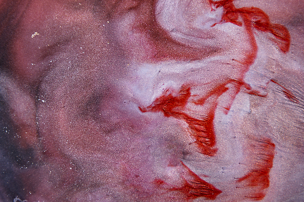 포토 JPG 해외이미지 디자인 배너 종이 바다 백그라운드 겨울 패턴 자연 추상 수채화 잉크 미술 사람없음 초록색 물 파란색 노란색 유행 중국 수확 질감 손그림 그런지 해외202310 해외포토 자연요소 계절 아시아 컬러 무늬 농업 문화예술 생태계 파일형식