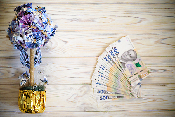 포토 JPG 해외이미지 나무 종이 컨셉 잎 지폐 돈 비즈니스 탁자 사람 사람없음 목재 금융 경제 쇼핑 저축 유로 나뭇가지 잡기 계산 재산 황금 투자 결제 회계 계산서 월급 대출 예산 해외202310 해외포토 식물 가구 재료 모션 파일형식