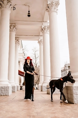 포토 JPG 해외이미지 전신 한마리 건축물 여자 반려견 한명 성인 야외 앞모습 걷기 산책 복도 당기기 대형견 성인여자한명만 그레이트덴 해외포토 1 건축 뷰포인트 모션 휴식 사람 반려동물 개 여자한명만 성인여자만 파일형식