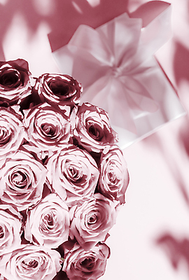 포토 JPG 해외이미지 행복 리본 분홍색 꽃다발 사랑 사람없음 선물상자 로맨틱 해외202310 해외포토 꽃 감정 컬러 컨셉 선물 상자 파일형식