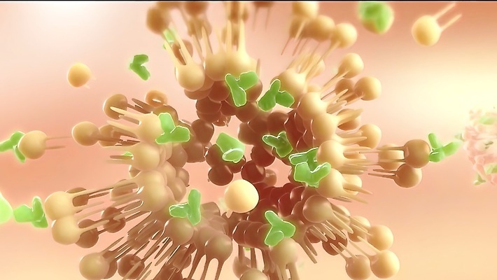 포토 JPG 해외이미지 과학 세포 건강 사람없음 성장 실험실 확대 질병 DNA 위험 유기농 생물학 미생물 염색체 분열 암 리빙 곱셈 바이오 분할 식민지 에이즈 유전 많음 셀룰러 해외202310 해외포토 웰빙 교육 컨셉 의학 생물 실험 수학 생명공학 파일형식