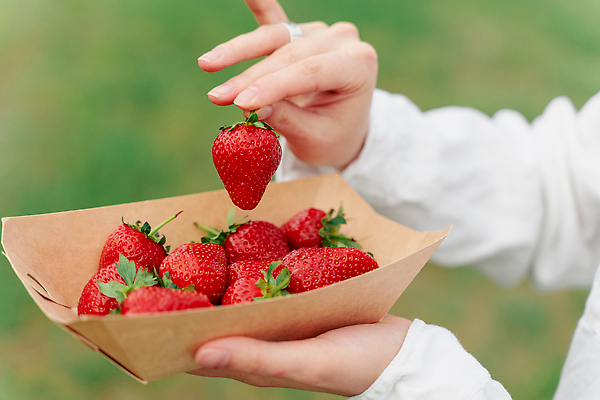 포토 JPG 해외이미지 손 과일 포장 딸기 신체부위 무더기 종이접시 해외202310 해외포토 접시 사람 파일형식