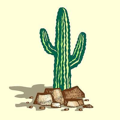 EPS 해외이미지 나무 식물 디자인 꽃 모래 컬러 여행 백그라운드 오렌지 일러스트 자연 하늘 추상 멕시코 선인장 건조 따뜻함 미술 그래픽 초록색 파란색 갈색 노란색 흙 사막 뜨거움 고독 만화 땅 모래언덕 그림 복고 장면 고립 서쪽 옛날 혼자 스타일 벡터 해외202310 해외일러스트 감정 북아메리카 무늬 과일 문화예술 방향 언덕 생태계 파일형식