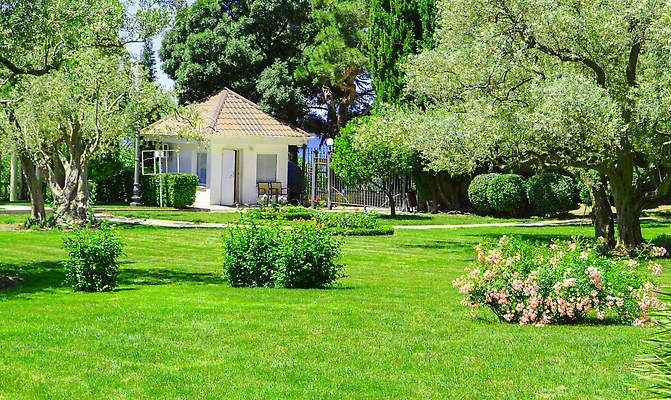포토 JPG 해외이미지 주간 나무 식물 디자인 외관 꽃 건축양식 창문 자연 하늘 주택 잔디 사람없음 야외 건물 초록색 빛 울타리 햇빛 태양 뷰티 장미 정원 활발 수확 시골 재산 작음 지중해 올리브 내추럴 뒤뜰 짠맛 해외202310 해외포토 자연요소 건축물 열매 건축 바다 컬러 컨셉 농업 금융 담장 맛 크기 생태계 파일형식