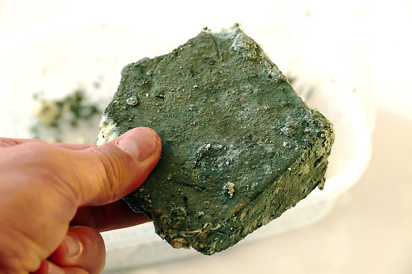 포토 JPG 해외이미지 조각 치즈 사람없음 주방 식사 아침식사 상품 천 날것 발견 곰팡이 구성 혜택 해외202310 해외포토 유제품 직물 파일형식