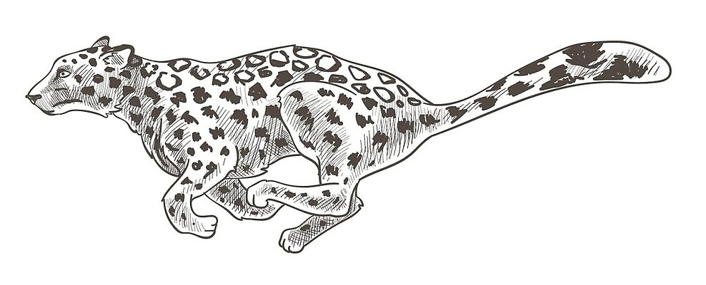 EPS 해외이미지 동물 디자인 공원 야생동물 일러스트 포유류 아프리카 자연 털 흑백 동물원 동양인 달리기 머리 고양이 힘 봄 벚꽃 직물 점 호랑이 황무지 스케치 사파리 피부 속도 사냥 육식동물 사냥꾼 서식지 치타 표범 내추럴 고립 사바나 이국적 재규어 전국 벡터 미니멀 해외202310 해외일러스트 직업 계절 공공시설 꽃 나라 모션 촬영기법 미술 인종 신체부위 반려동물 생태계 파일형식