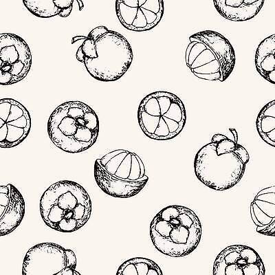 웰빙 아시아 선 음식 컬러 컨셉 무늬 일러스트 문화예술 미술 환경 상점 생태계 채식 채식주의자 파일형식 벡터 해외202310 EPS 해외이미지 이국적 스케치 과일 낙서 유기농 고립 건강 자연 디자인 클립아트 식물 신선 건강식 손그림 잉크 보라색 판화 윤곽 맛 오브젝트 사람없음 라인아트 복고 비건 재료 숙성 조각 에코 구성 채소 태국 슈퍼마켓 표면 패턴 직물 질감 해외일러스트 라인일러스트