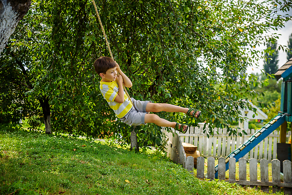 포토 JPG 해외이미지 나무 1 라이프스타일 공원 남자 행복 어린이 밧줄 모션 자연 놀이 하늘 매달리기 한명 웃음 사람 소년 야외 10대 햇빛 맑음 점프 활발 기쁨 하이킹 자유 숲 그네 흥분 해외202310 해외포토 식물 공공시설 감정 줄 컨셉 청소년 레저 날씨 표정 생활 태양 생태계 파일형식
