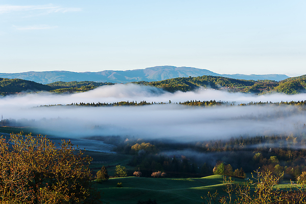 포토 JPG 해외이미지 나무 구름 계절 여행 백그라운드 자연 하늘 아침 날씨 산 안테나 파노라마 풍경 사람없음 야외 초록색 여름 파란색 뷰티 환경 계곡 봄 안개 시골 숲 언덕 알프스 장면 내추럴 뿌연 슬로베니아 절정 조감도 그리너리 해외202310 해외포토 주간 자연요소 식물 유럽 컬러 통신 촬영기법 생태계 파일형식 트랜드컬러