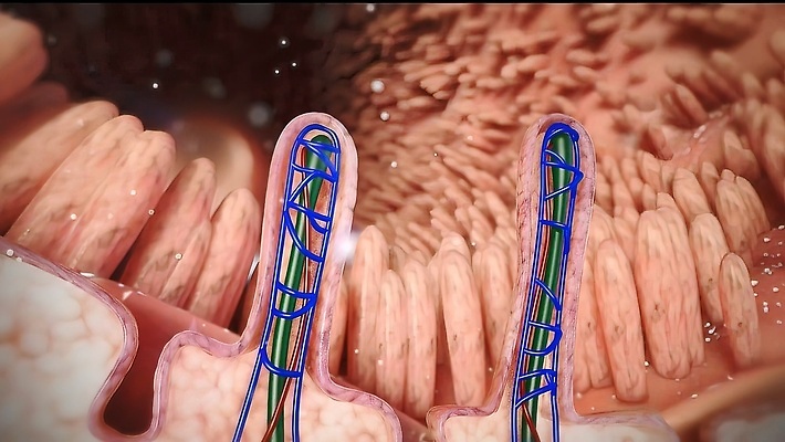 포토 JPG 해외이미지 음식 표면 세포 건강 사람 사람없음 약 3D 작음 큼 생물학 시스템 암 돌봄 영양소 해외202310 해외포토 교육 의학 모션 질병 크기 디지털합성 파일형식