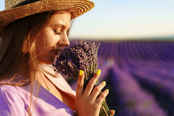 포토 JPG 해외이미지 여자 꽃다발 꽃밭 한명 들기 상반신 성인 야외 옆모습 햇빛 일몰 밀짚모자 향기 라벤더 프로방스 성인여자한명만 해외202310 해외포토 모자_잡화 1 꽃 뷰포인트 모션 사람 태양 노을 허브 냄새 여자한명만 성인여자만 파일형식