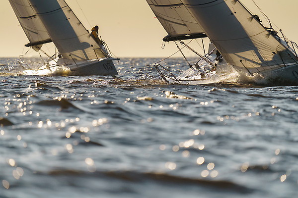 포토 JPG 해외이미지 물결 파도 바다 분홍색 백그라운드 요트 자연 하늘 표면 바람 날씨 휴식 항해 사람없음 물 빛 컬러풀 햇빛 태양 반사 환경 고요 일몰 레이싱 뜨거움 액체 보트 떨어짐 크루즈 질감 롤 폭풍 풍선 추적 레가타 터키석 해외202310 해외포토 자연요소 컬러 컨셉 배_교통 모션 시합 노을 보석 생태계 파일형식
