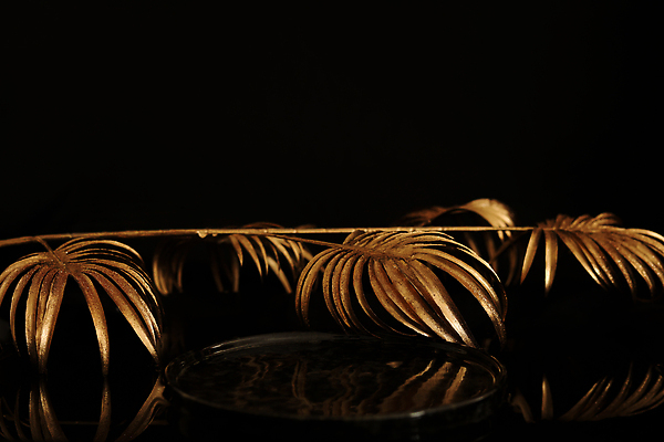 포토 JPG 해외이미지 백그라운드 낙엽 사람없음 검은색 공간 원형 단상 포디움 해외202310 해외포토 도형 컬러 잎 무대 파일형식