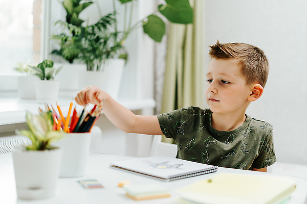 포토 JPG 해외이미지 식물 백인 학생 교육 행복 어린이 남학생 인터넷 통신 학교 탁자 수업 문구용품 거리 주택 직장 실내 건강 한명 앉기 소년 취미 책 학습 스터디 연필 펜 디지털 공책 기록 그리기 작업실 책상 신학기 크레파스 온라인 개발 온라인강의 공급 네트워킹 해외202310 해외포토 서양인 1 남자 감정 가구 회사 모션 학용품 사람 내부 건물 필기구 네트워크 강의 오브젝트 파일형식 언택트